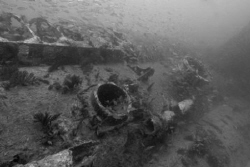 U-352 wreck.  Carolina.  D70, 12-24 mm lens, no strobe. by David Heidemann 
